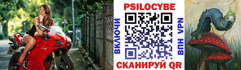 цены   Майский  Псилоцибиновые грибы прущие грибы 